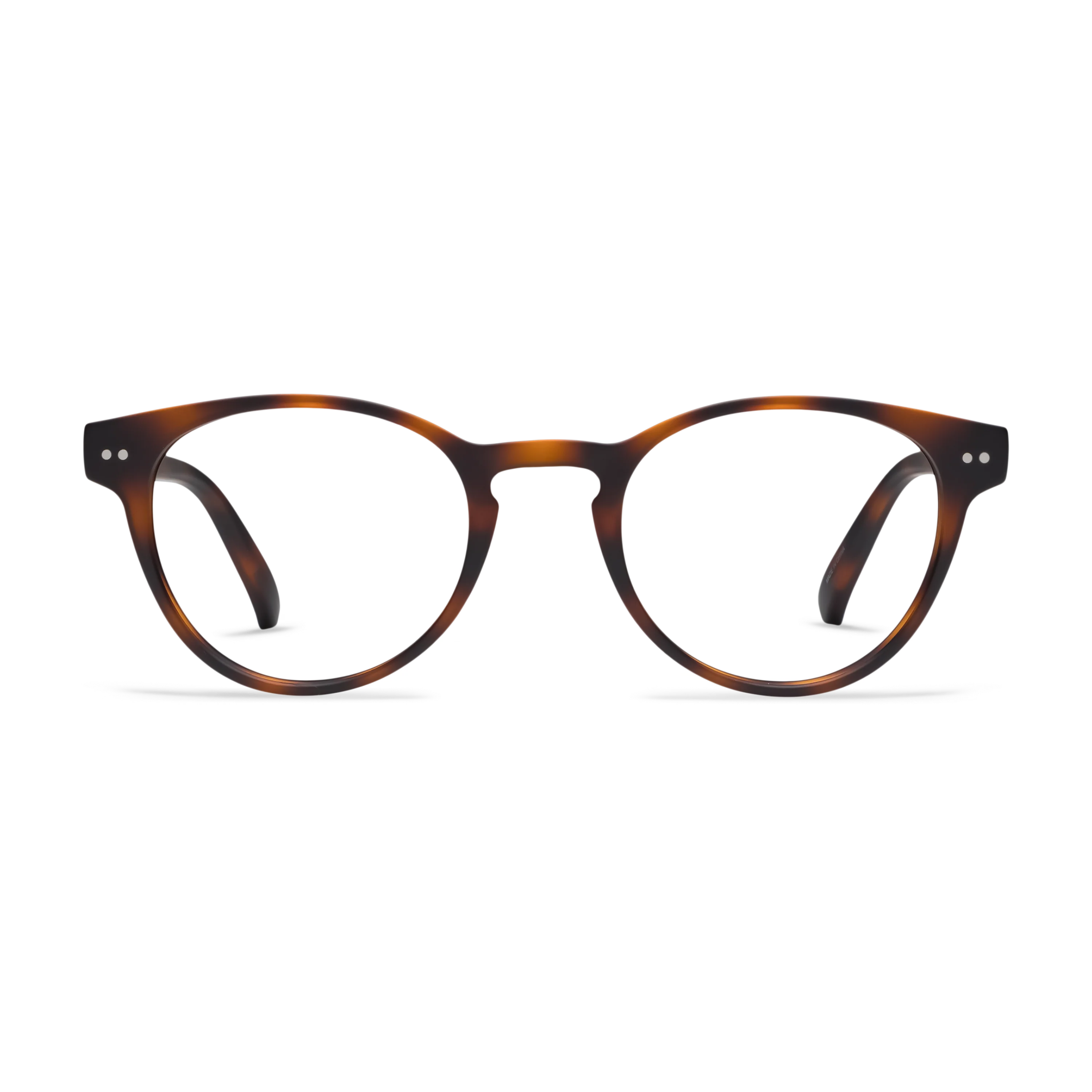 Abbey Progressives - Image 10