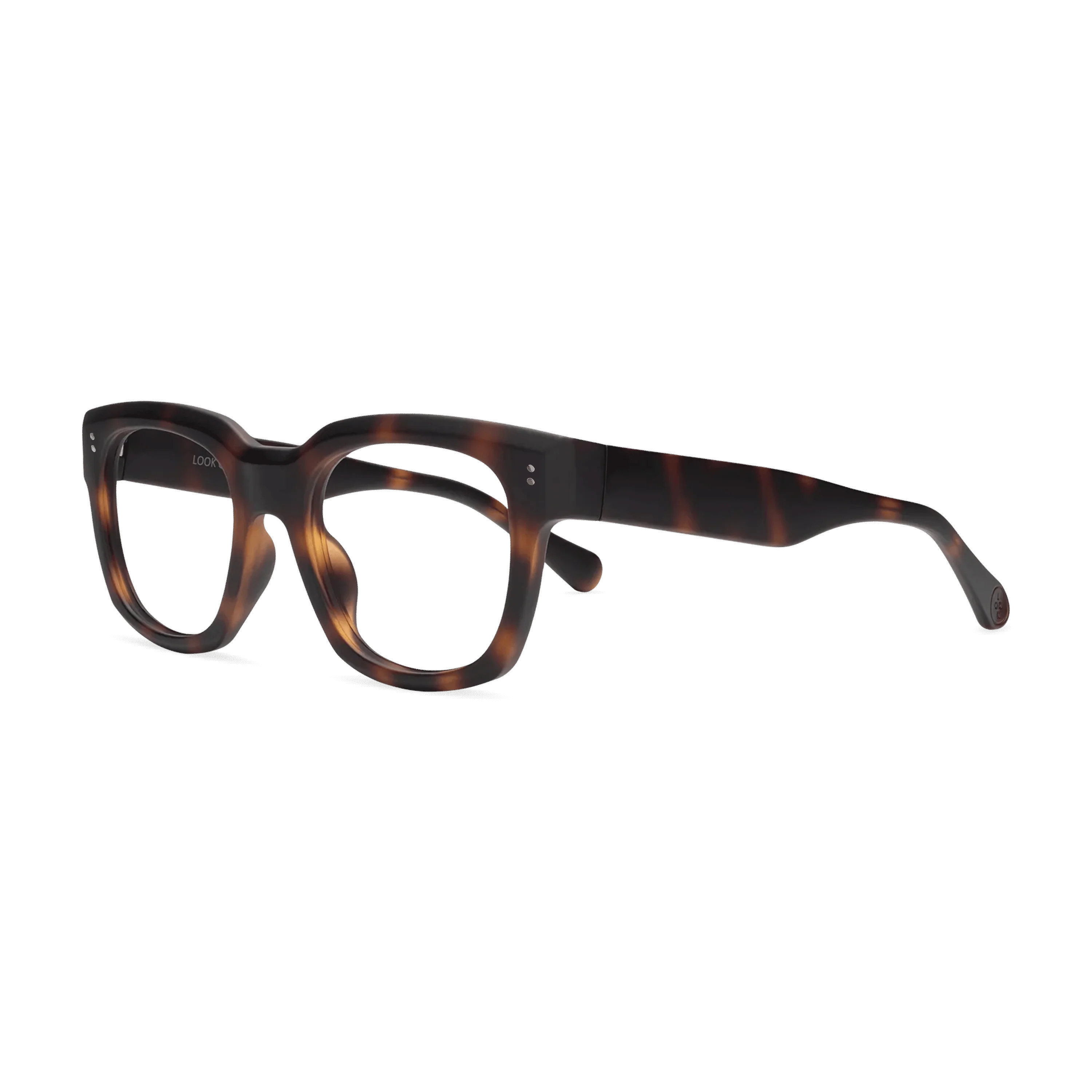 Kaine Progressives - Image 16